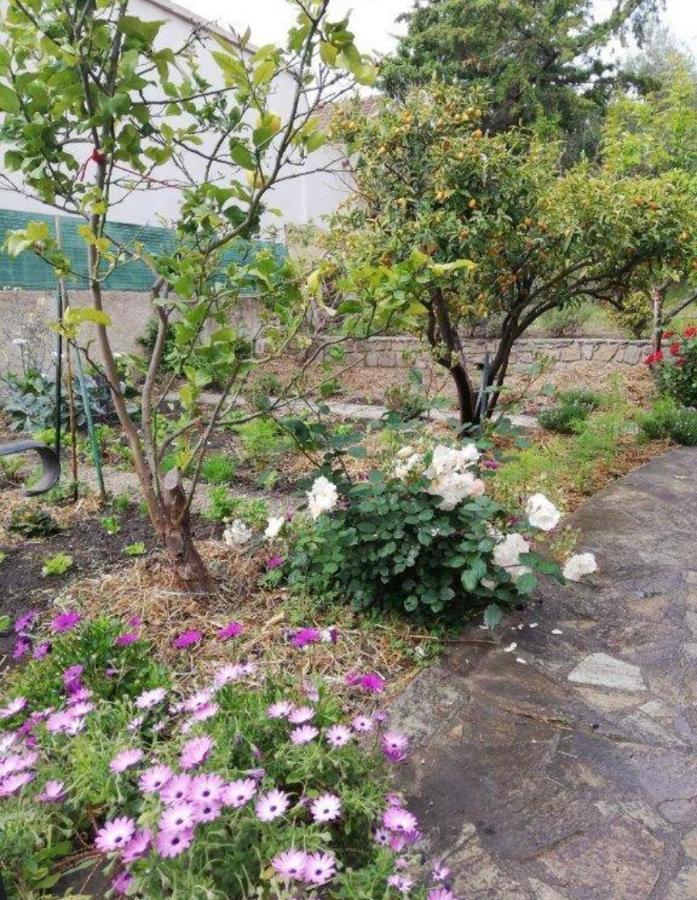 Appartamento Casa Rossa Solenzara Sari-Solenzara Esterno foto